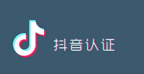 海南抖音快手認證招商代理 解鎖短視頻商業新引擎